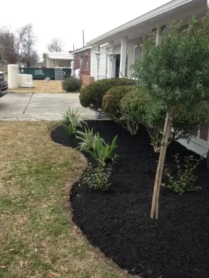 Lawson Landscaping, LLC - Tree & Shrub Care in Sulphur, LA