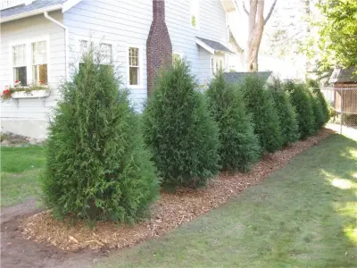 Grussendorf Nursery & Landscaping - Landscape Construction in Duluth, MN