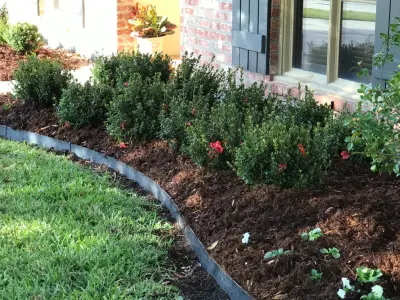 Faugot Scenery — Landscape Construction project by Lollys Gardening