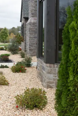 Elite Outdoor Innovations - Tree & Shrub Care in Springfield, MO