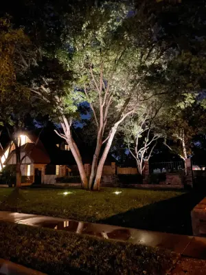 Outdoor Illumination by Bravo Xteriors
