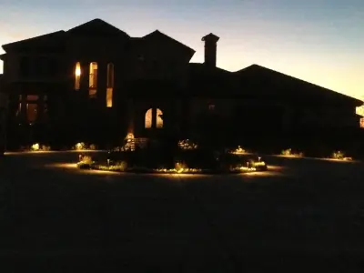 Paradise Lawns - Tree & Shrub Care in Lubbock, TX