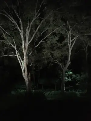 Outdoor Lighting Solutions - Electrical Services in Lafayette, LA