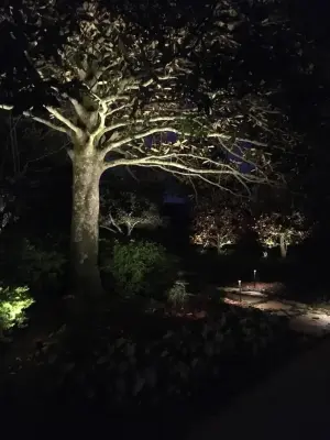 Outdoor Lighting Solutions - Electrical Services in Lafayette, LA