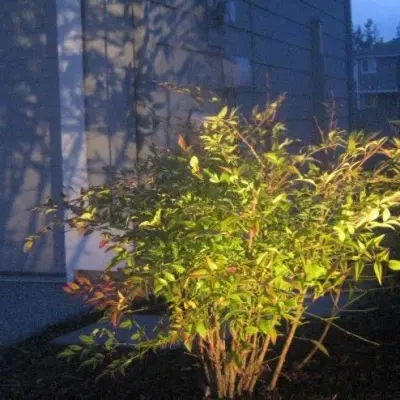 Outdoor Illumination — Landscape Construction project by Choice Landscapes LLC