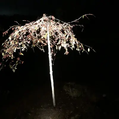 Harbor Springs MI Landscape Illumination by Michigan Pete Landscaping