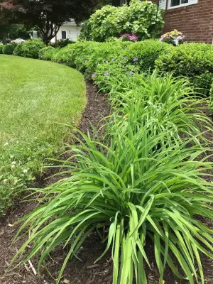 Wihebrink Landscape Management, Inc. - Tree & Shrub Care in Warsaw, IN