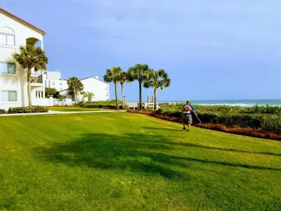 Compass Landscape - Tree & Shrub Care in Freeport, FL