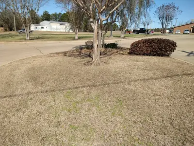 Kountry Kuts Landscaping - Tree & Shrub Care in Mount Pleasant, TX
