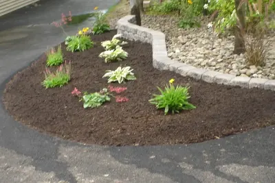 Marlinski Landscape & Stone Work - Tree Planting & Transplanting in Lakewood, NY