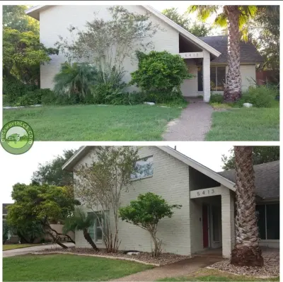 Duckworth Lawn Care Service - Tree Planting & Transplanting in Corpus Christi, TX