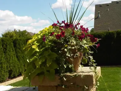 Trim Cut Landscaping - Tree & Shrub Care in Southeast Mi, MI