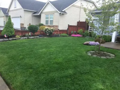 Hammer Landscape Maintenance - Tree & Shrub Care in Eugene, OR