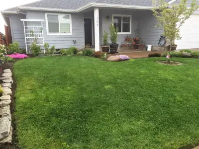 Hammer Landscape Maintenance - Tree & Shrub Care in Eugene, OR
