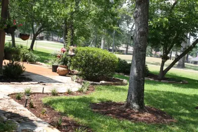 USA Landscape Services - Tree & Shrub Care in Lufkin, TX