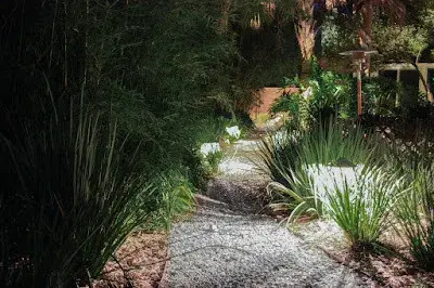 Bloom Garden Co - Landscape Construction in Tallahassee, FL