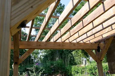 Bloom Garden Co - Landscape Construction in Tallahassee, FL