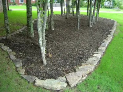Lawn Enforcement, Inc. - Tree & Shrub Care in Memphis, TN