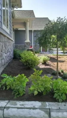 R & R Landscaping - Tree Planting & Transplanting in Mayville, NY