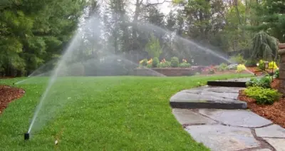 Scapes Inc - Landscape Construction in Lafayette, LA