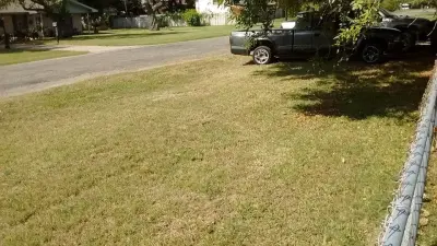 Rayford and Sons Lawn Care - Tree Planting & Transplanting in Aransas Pass, TX