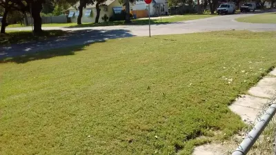Rayford and Sons Lawn Care - Tree Planting & Transplanting in Aransas Pass, TX
