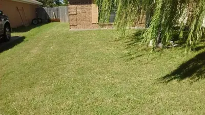 Rayford and Sons Lawn Care - Tree Planting & Transplanting in Aransas Pass, TX