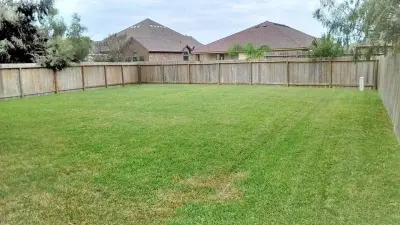 Rayford and Sons Lawn Care - Tree Planting & Transplanting in Aransas Pass, TX