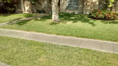 Rayford and Sons Lawn Care - Tree Planting & Transplanting in Aransas Pass, TX