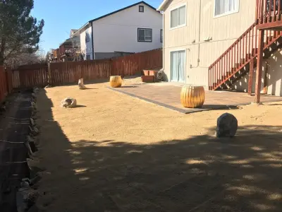 First Class Landscape Construction - Tree & Shrub Care in Sparks, NV