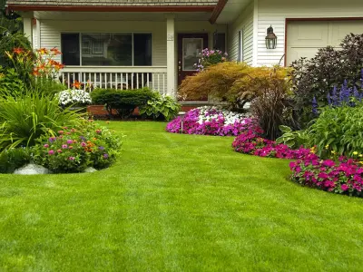 First Class Landscape Construction - Tree & Shrub Care in Sparks, NV