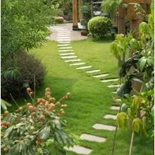 C & J Landscaping - Landscape Construction in Corpus Christi, TX