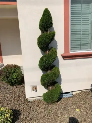 Landscaping Setup and Care — Landscape Construction project by Eden Landscaping & Tree Service LLC