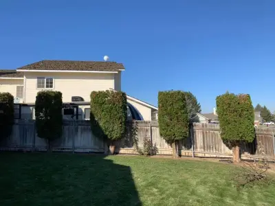Eden Landscaping & Tree Service LLC - Tree & Shrub Care in Kennewick, WA