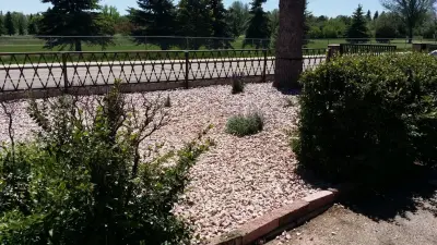 Greener Wyoming - Tree & Shrub Care in Cheyenne, WY
