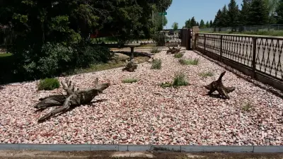 Greener Wyoming - Tree & Shrub Care in Cheyenne, WY