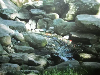 Bill Neuens Landscaping - Landscape Construction in Iron Mountain, MI