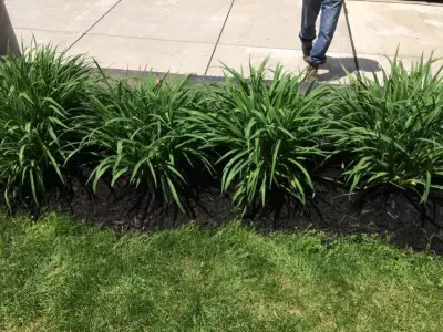 C&P Lawn & Landscaping - Landscape Construction in Triadelphia, WV