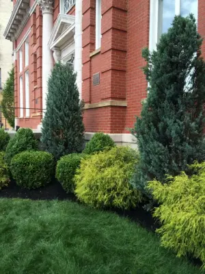 C&P Lawn & Landscaping - Landscape Construction in Triadelphia, WV