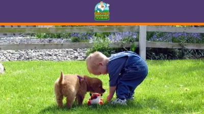 Gro-Pro - Tree & Shrub Care in Sanger, TX