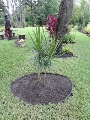 Residential Landscaping — Landscape Construction project by Back 2 Life Property Management