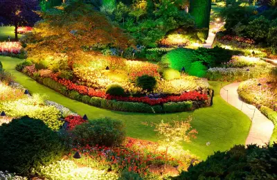 Yuma Landscaping Pros - Tree & Shrub Care in Yuma, AZ
