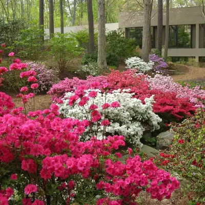 Sartin Services Lawncare INC - Landscape Construction in Jonesboro, AR