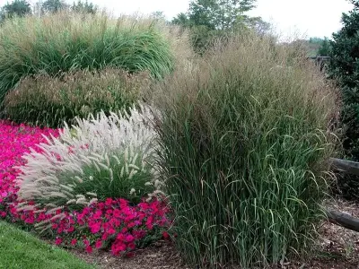Sartin Services Lawncare INC - Landscape Construction in Jonesboro, AR