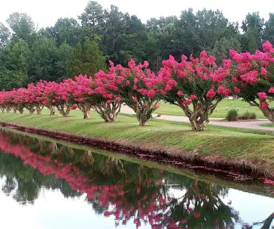 Sartin Services Lawncare INC - Landscape Construction in Jonesboro, AR