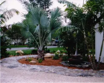 Uni-Scape Landscape & Design - Landscape Construction in Saint James City, FL