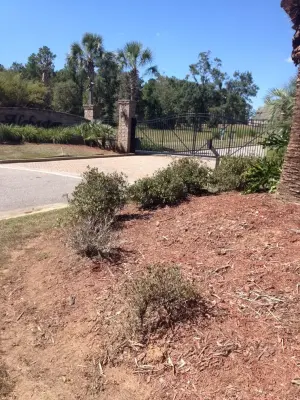 Michael E Jones Landscaping&Irrigation - Tree & Shrub Care in Jackson, AL