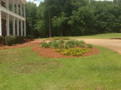 Michael E Jones Landscaping&Irrigation - Tree & Shrub Care in Jackson, AL