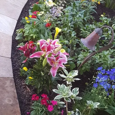 Beau Monde Landscape LLC - Tree & Shrub Care in Lafayette, LA
