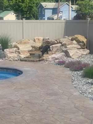 Expansive Pondless Water Feature — Landscape Construction project by Shaylor's Ponds & Patios